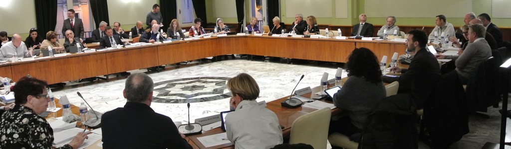 Conseil Municipal Saint-Rapahël 2019
