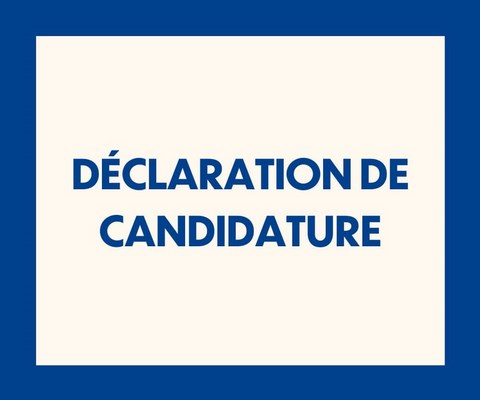 Frédéric MASQUELIER Frédéric MASQUELIER