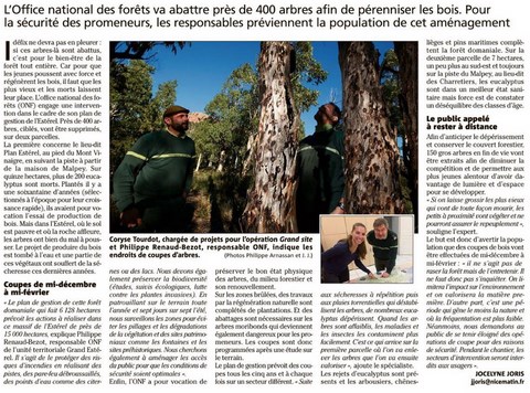 Forêt de l'Esterel