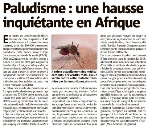 Paludisme en Afrique