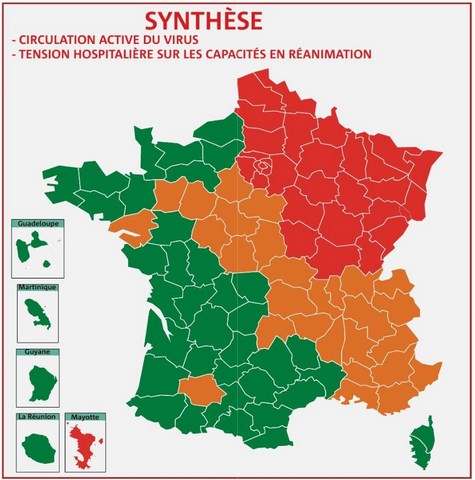 Synthèse COVID-19