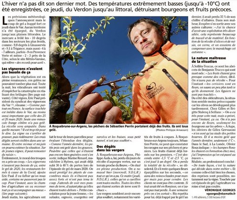 Gel des bourgeons