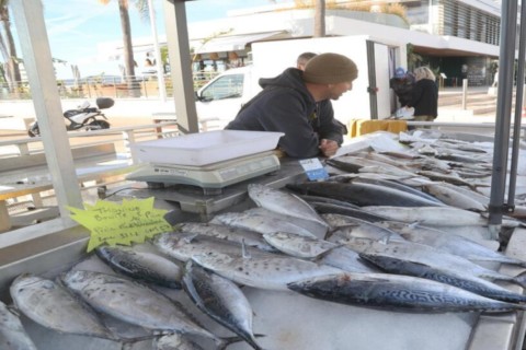Pêcheuurs Saint-Raphaël