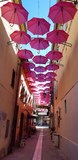 Octobre Rose -Rue des Artistes Saint-Raphaël-